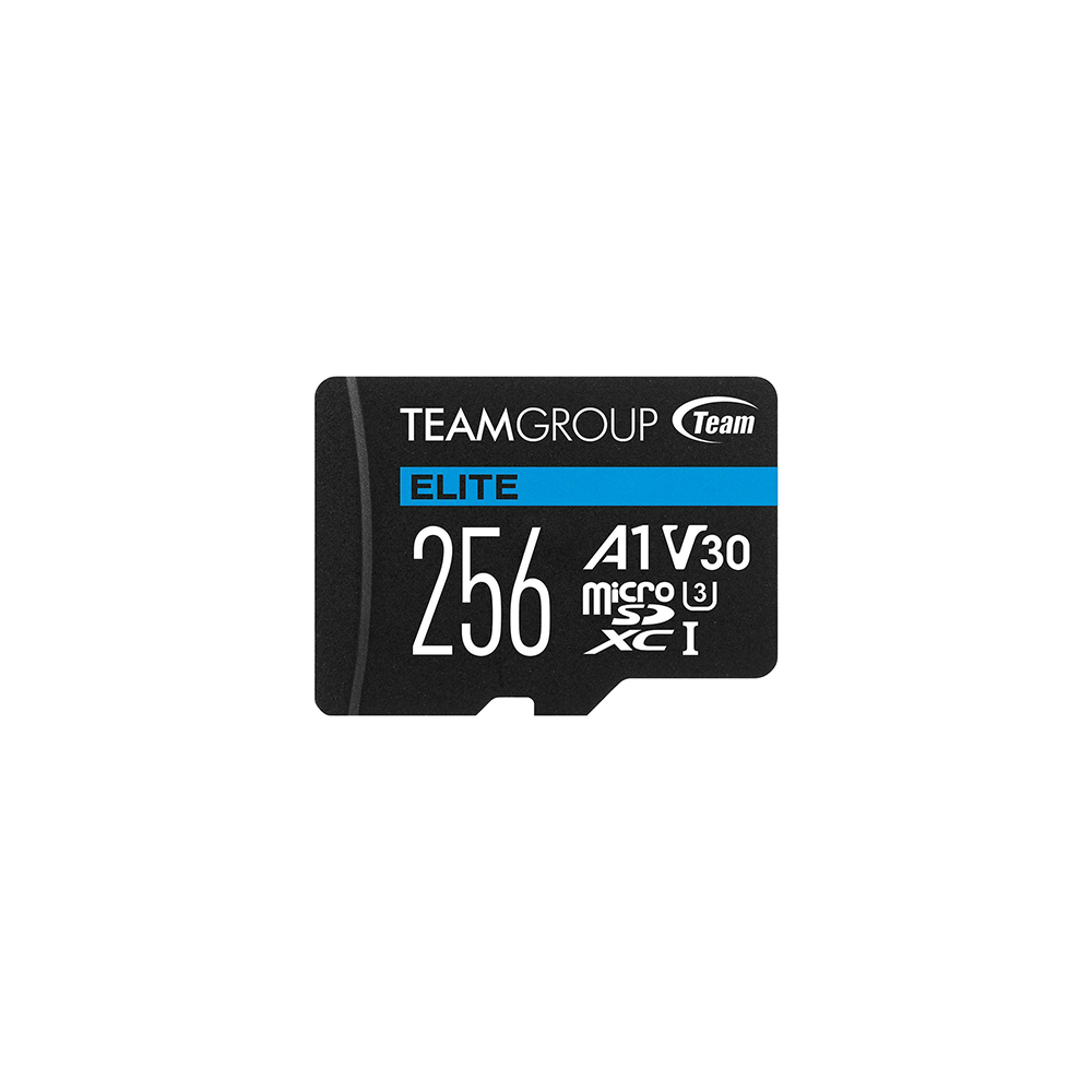 1P7TMG-TEAUSDX256GIV30A103